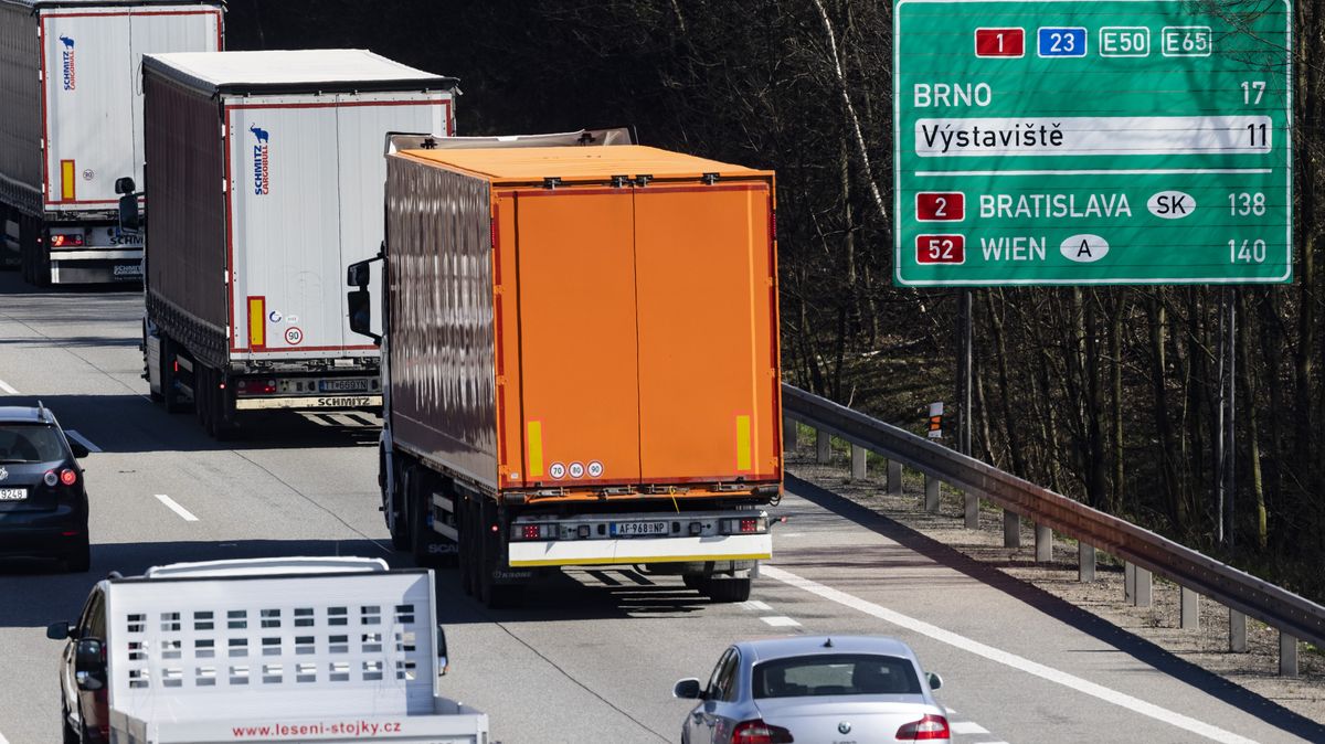 Data jsou digitální zlato. Češi pomáhají firmám vyrýžovat to nejdůležitější